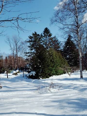 公園　豊平公園（公園）まで651m