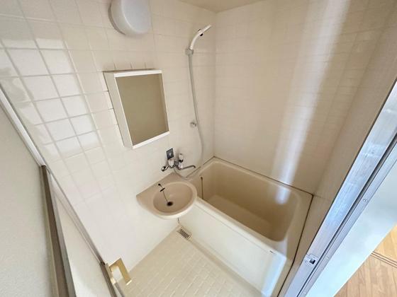 バス・シャワールーム　※別部屋の写真です