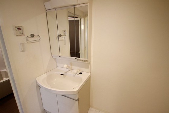 洗面設備　※別号室の写真です