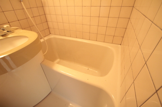 バス・シャワールーム　※別部屋の写真です