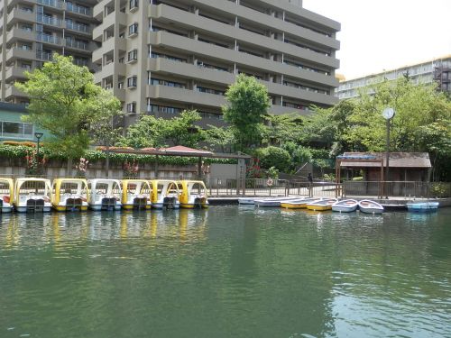 公園　横十間川親水公園（公園）まで385m