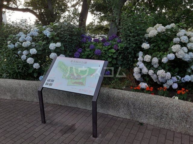 公園　菊名桜山公園（公園）まで346m