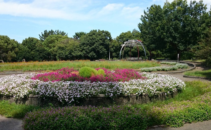 公園　久宝寺緑地（公園）まで500m