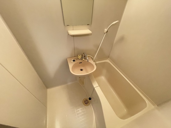 バス・シャワールーム　※別部屋の写真です