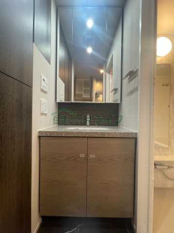 洗面設備　ザ・パークハビオ滝野川