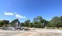 公園　榴岡公園（公園）まで500m