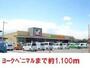 スーパー　ヨークベニマル（スーパー）まで1100m
