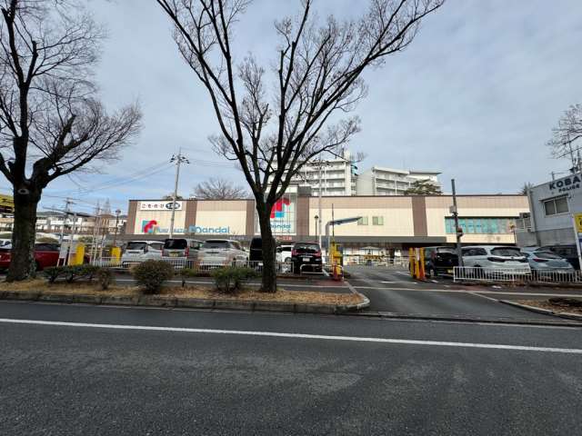 スーパー　万代（株）／香里ケ丘店（スーパー）まで1100m