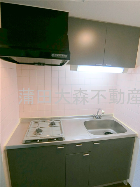 キッチン　2口ガスシステムキッチン