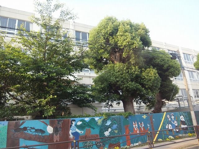 小学校　川崎市立宮崎小学校（小学校）まで721m