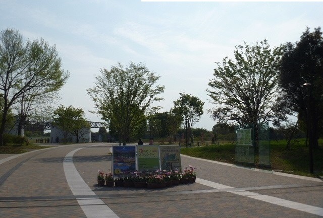 公園　昭和記念公園（公園）まで653m