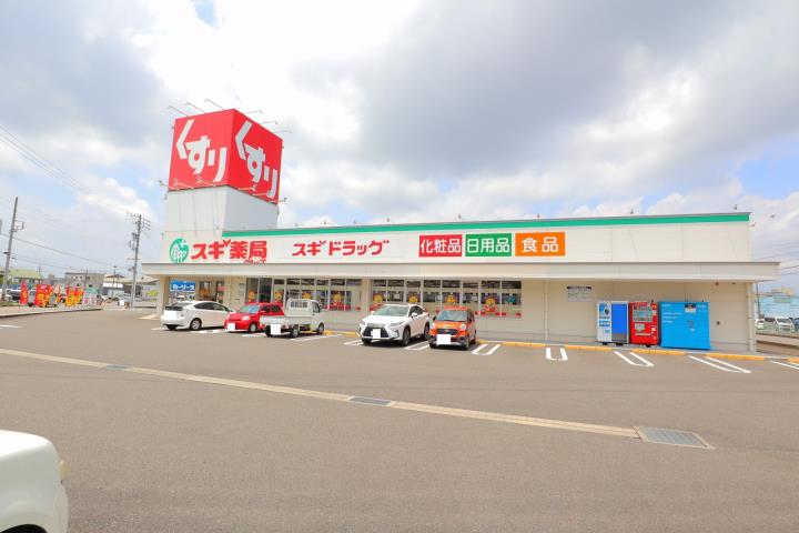ドラックストア　スギ薬局岐阜六条店（ドラッグストア）まで1037m