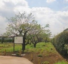 公園　用賀北小緑地（公園）まで554m