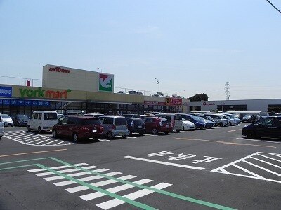 その他　ヨークマート花野井店（その他）まで750m