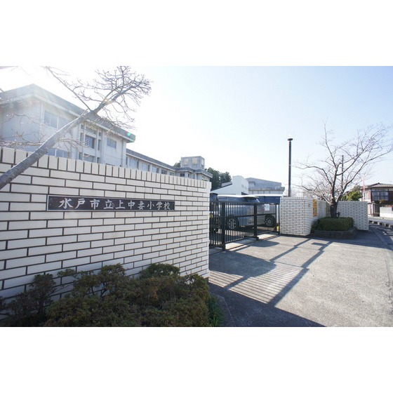 小学校　水戸市立上中妻小学校（小学校）まで391m