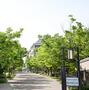 大学・短大　私立桃山学院大学（大学・短大）まで665m