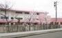 幼稚園・保育園　京王幼稚園（幼稚園・保育園）まで1216m