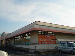 ドラックストア　ドラッグセガミ 黒土店（ドラッグストア）まで320m
