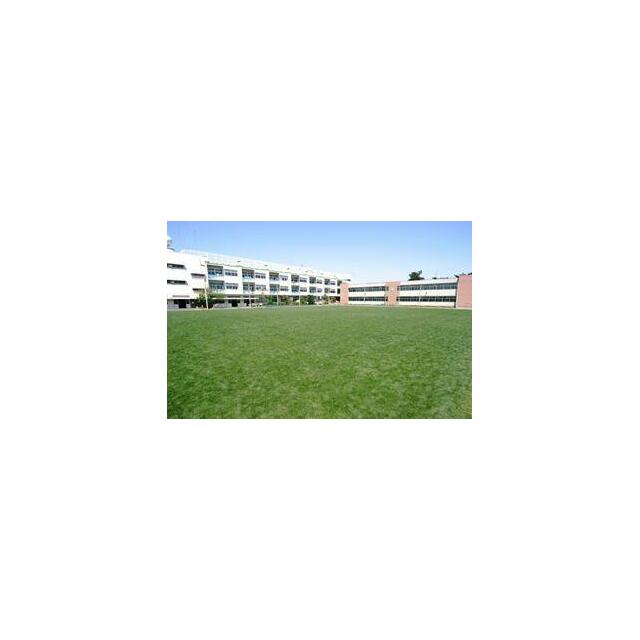 小学校　川口市立芝小学校（小学校）まで154m