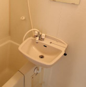 洗面設備　※別部屋の参考写真です。
