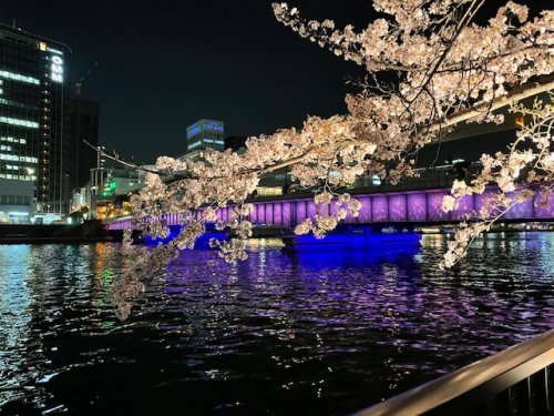 公園　南天満公園（公園）まで269m