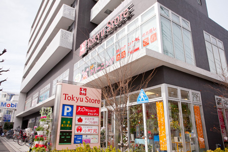 スーパー　東急ストア駒沢通り野沢店（スーパー）まで146m