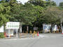 幼稚園・保育園　普済寺幼稚園（幼稚園・保育園）まで550m