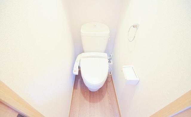 レオパレスやまもものトイレ写真