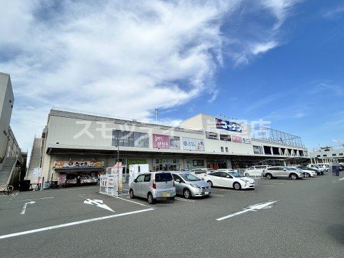 ホームセンター　ホームセンターコーナン 堺高須店（ホームセンター）まで2955m