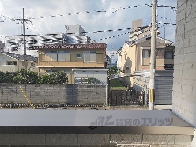 FaseciaTabitのその他写真