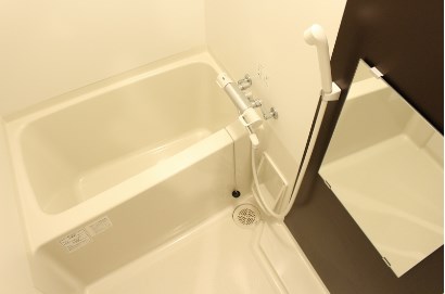 バス・シャワールーム　室内サンプル 　イメージのため形状や色調、床材、設備等実際と