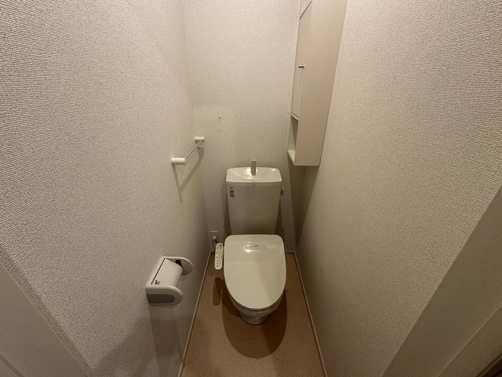 ＪＲ身延線 国母駅 徒歩18分 2階建 築11年のトイレ写真