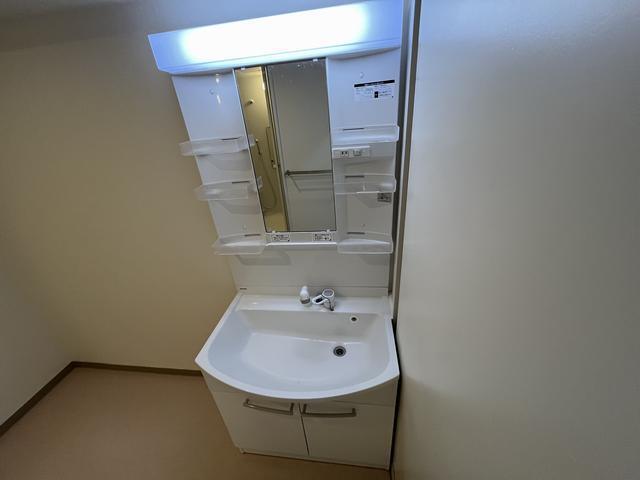 洗面設備　３０２号室のお写真になります
