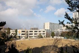 小学校