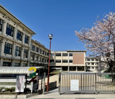 【彦根市岡町貸家の小学校】