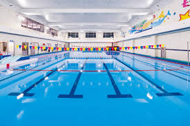 その他　目黒区立駒場体育館 屋内プール（その他）まで1118m