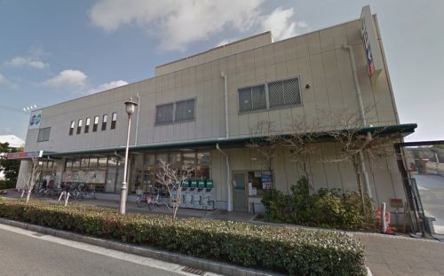 スーパー　コープ 浜芦屋（スーパー）まで539m