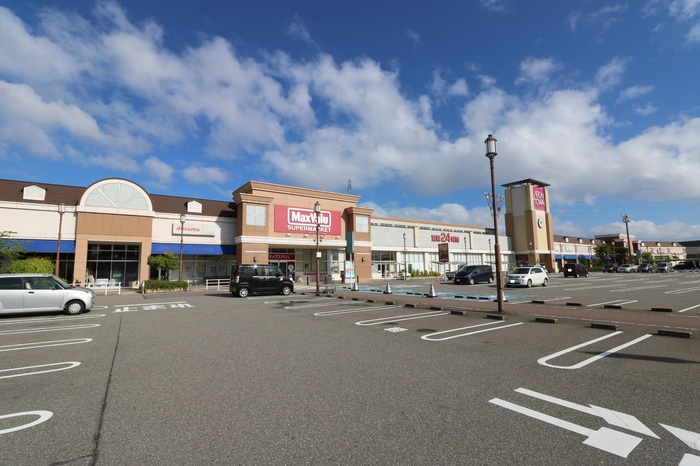 ショッピングセンター　イオンタウン金沢示野（ショッピングセンター）まで1700m