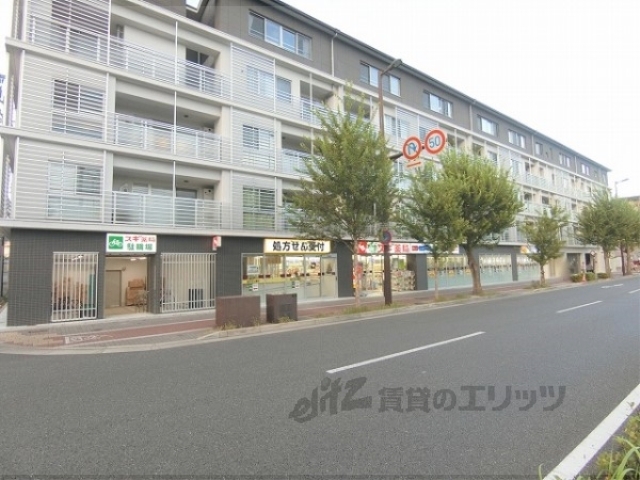 ドラックストア　スギ薬局下鴨店（ドラッグストア）まで1100m