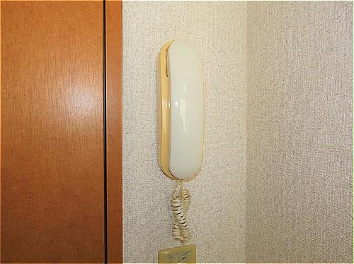 セキュリティ　インターホンあり