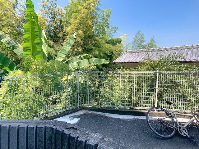 眺望　2025年7月撮影※現況を優先します。