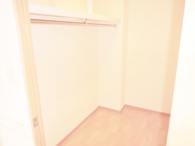 収納　ウォークインクローゼット