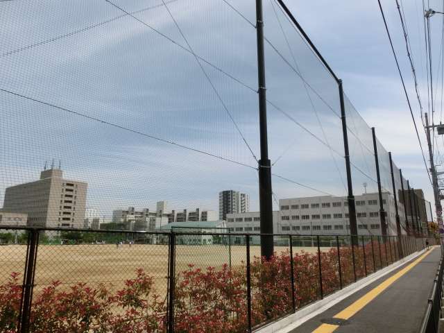 中学校　高槻市立第四中学校（中学校）まで1033m