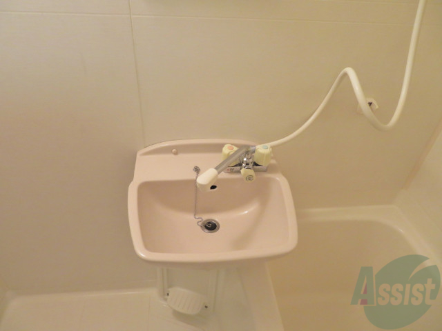 洗面設備　洗面台はこちらコンパクトですが朝の支度には助かりますね