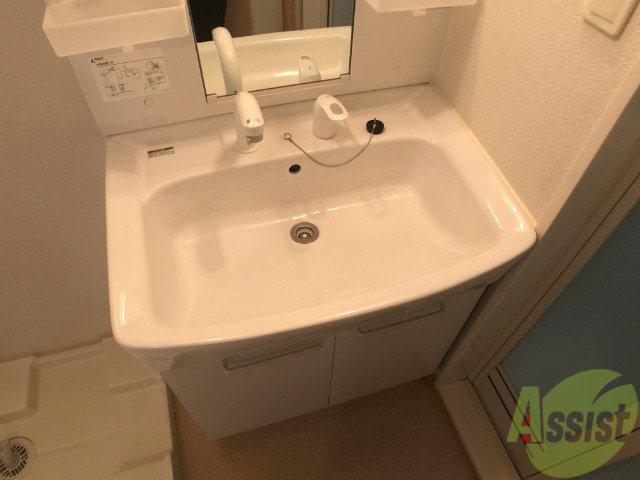 洗面設備　シャンプードレッサーが付いてるのはうれしいですね