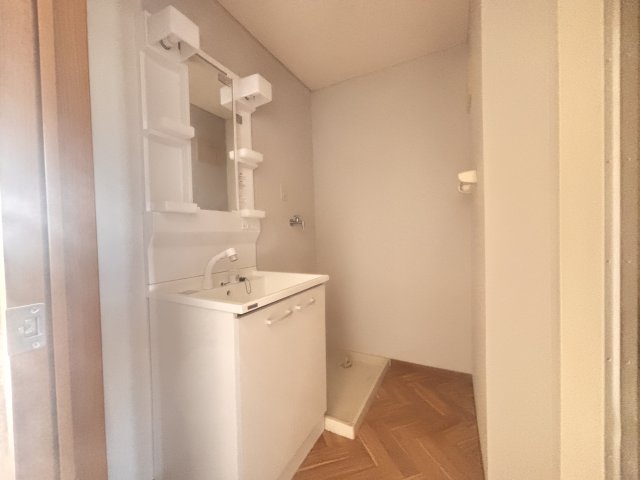 洗面設備　綺麗な洗面所と室内洗濯置き場です。