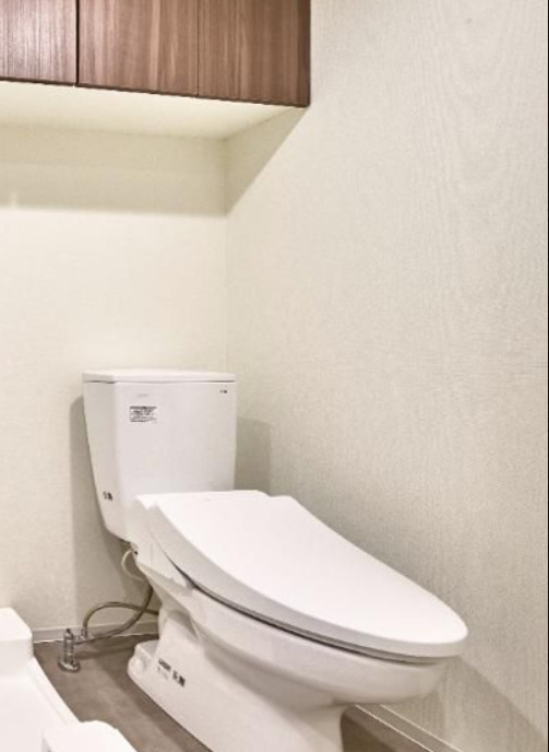 トイレ　トイレも気になるポイント