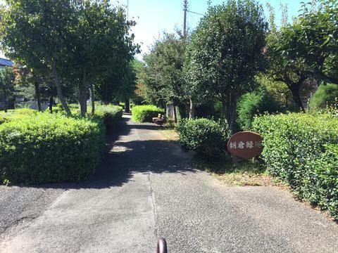 公園　朝倉緑地（公園）まで637m