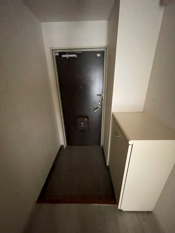 玄関　※同タイプの他のお部屋です