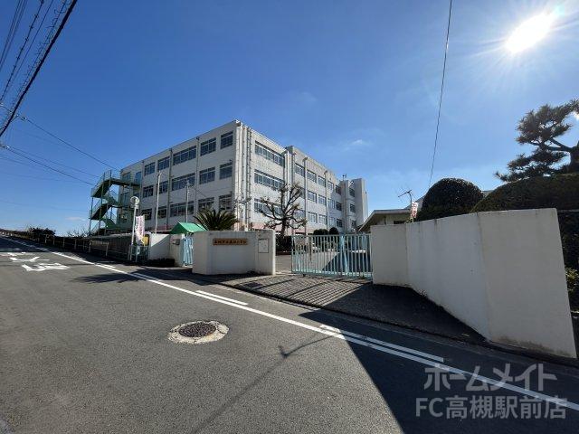 小学校　高槻市立奥坂小学校（小学校）まで446m